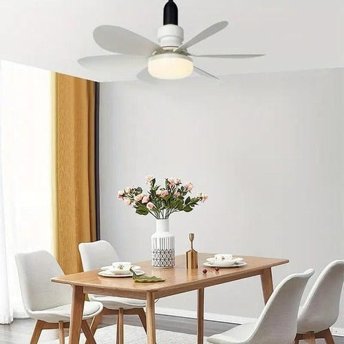 Ceiling fan | Karnz
