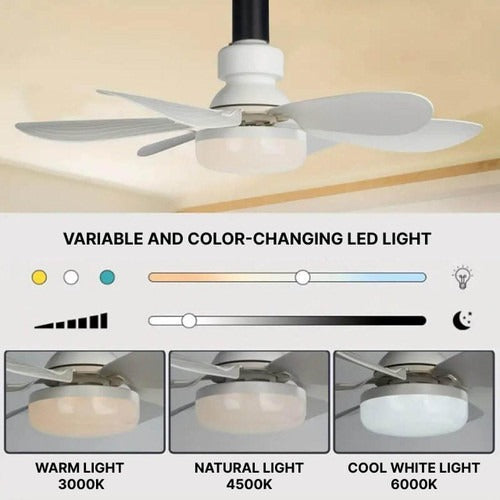 Ceiling fan | Karnz