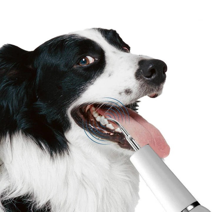 Skanto Skanto | Pet Oral Cleaning Tool for Fresh Breath & Grooming Care