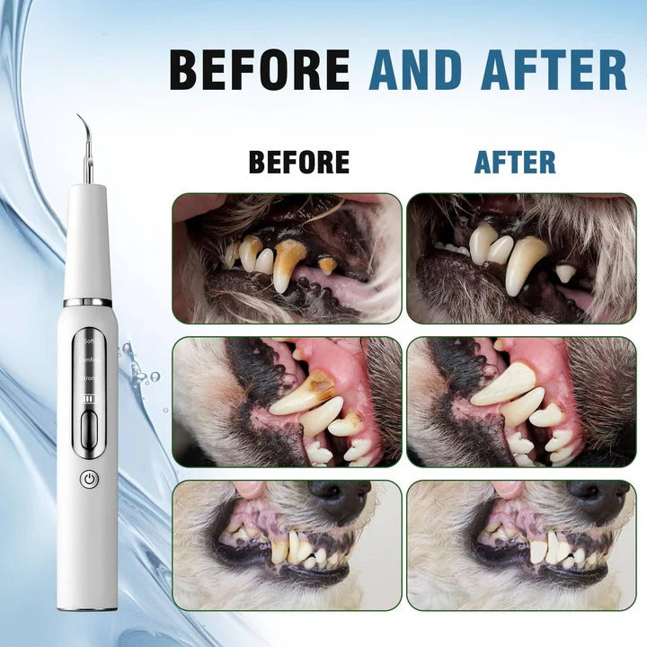 Skanto Skanto | Pet Oral Cleaning Tool for Fresh Breath & Grooming Care