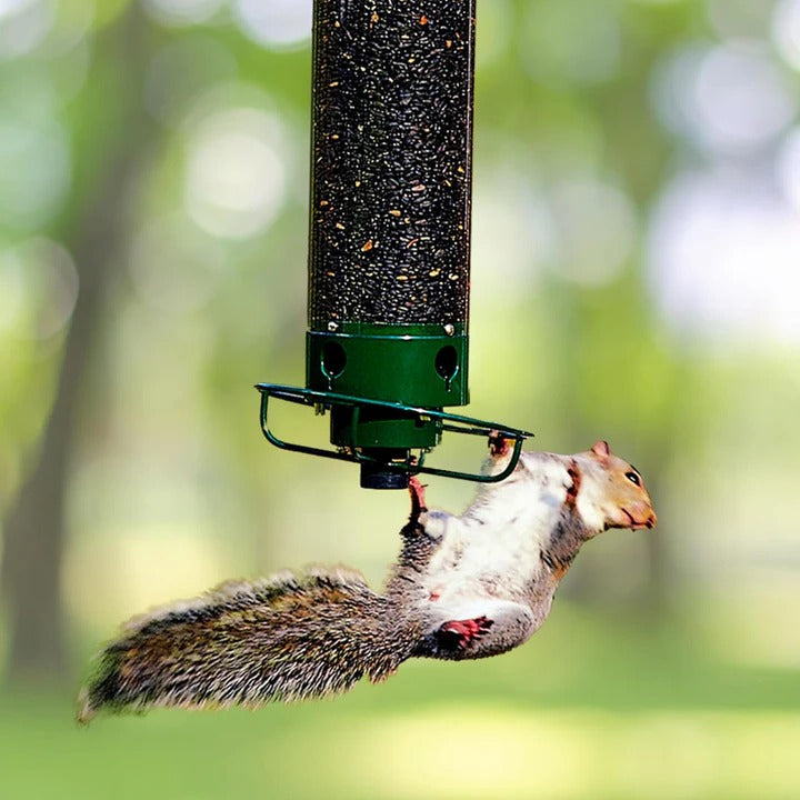 Skanto | Durable Metal Bird Feeder with Cage Design to Deter Squirrels