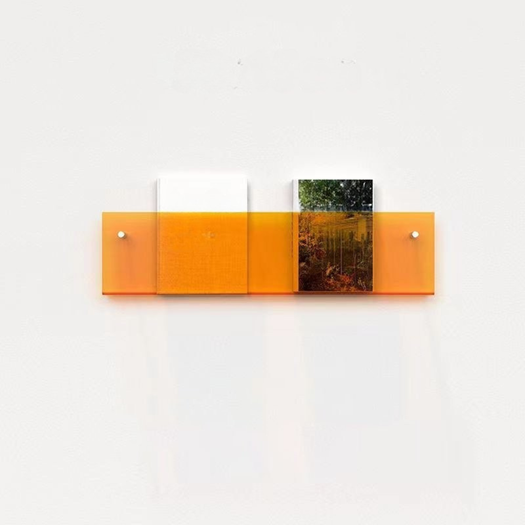 BowLift | Wall Shelf Clear Acrylic Magazine Holder