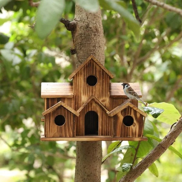 Skanto | Handmade Wooden Birdhouse with 6 Holes