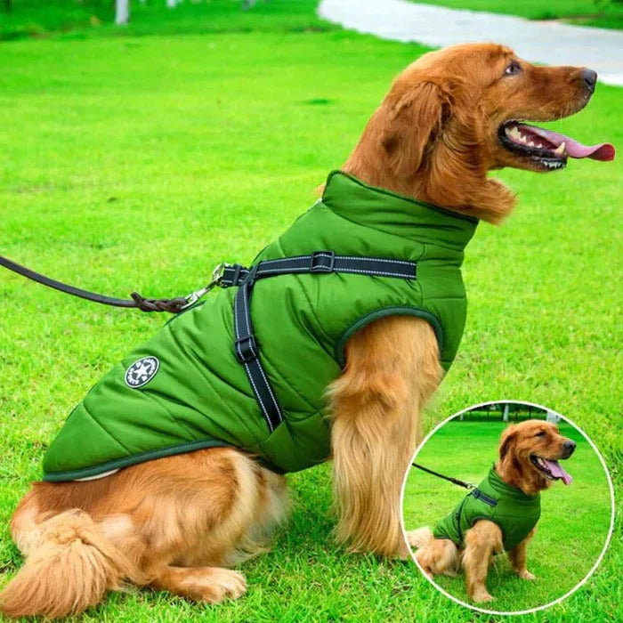 Skanto | Waterproof Winter Dog Jacket