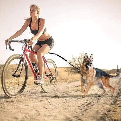 Skanto | Bike Dog Tow Leash