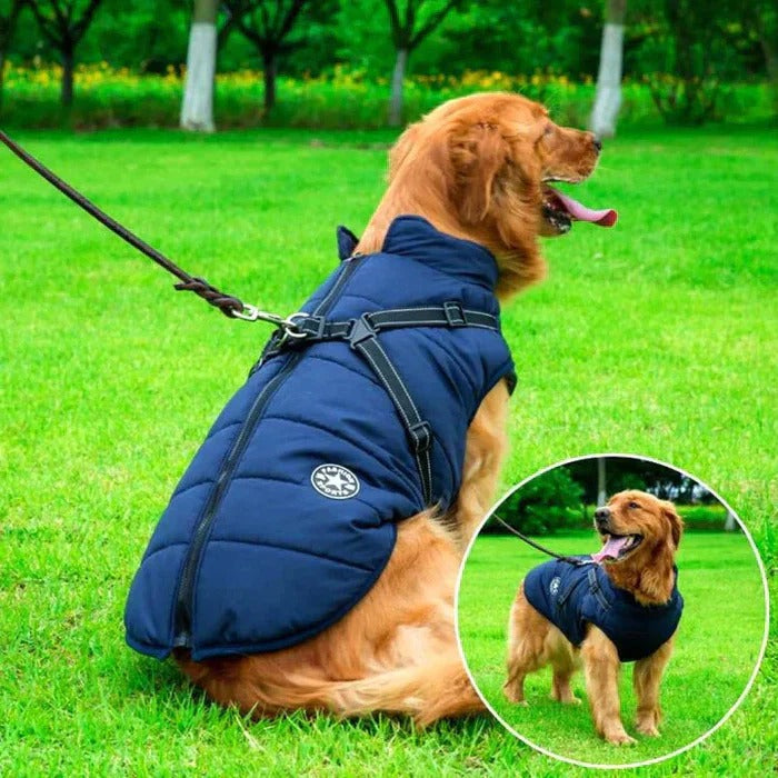 Skanto | Waterproof Winter Dog Jacket