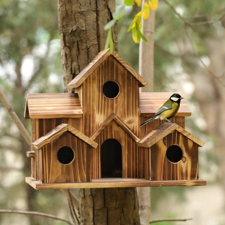 Skanto | Handmade Wooden Birdhouse with 6 Holes