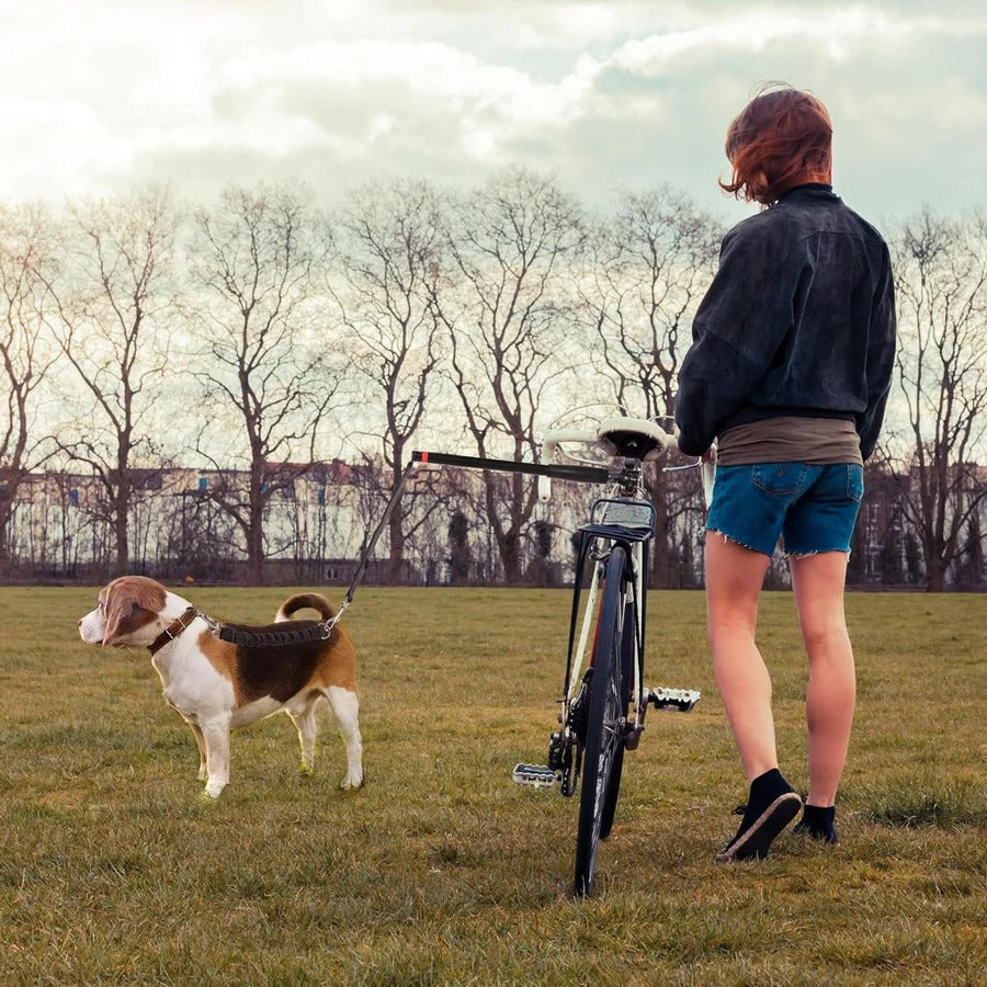 Skanto | Bike Dog Tow Leash