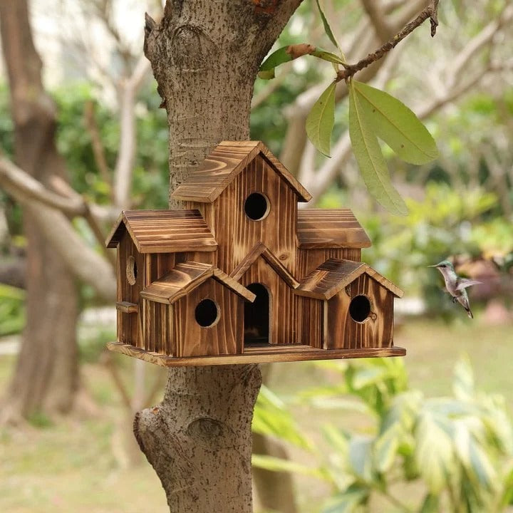 Skanto | Handmade Wooden Birdhouse with 6 Holes