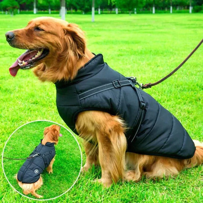 Skanto | Waterproof Winter Dog Jacket