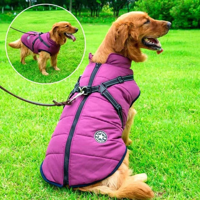 Skanto | Waterproof Winter Dog Jacket