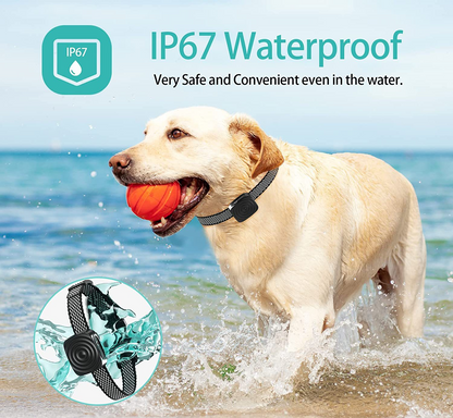 BowLift | Dog Collar Anti Bark for Small Dogs