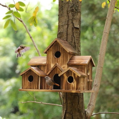Skanto | Handmade Wooden Birdhouse with 6 Holes