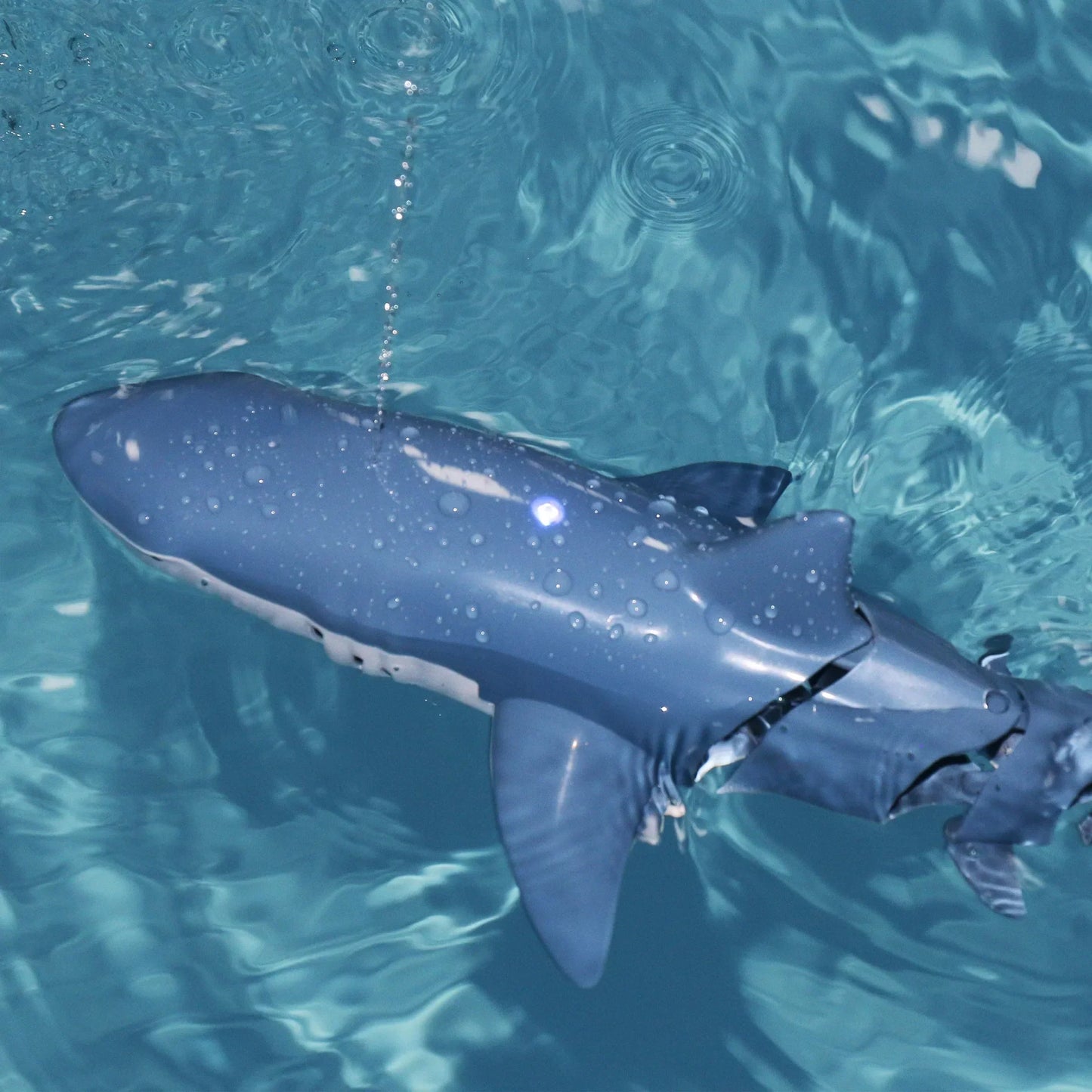 BowLift | Remote Control Shark Adventure