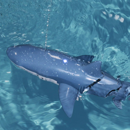 BowLift | Remote Control Shark Adventure
