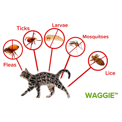 Skanto | Waggie - Natural Flea, Tick, & Mosquito Collar (Safest 8+ Months Protection)