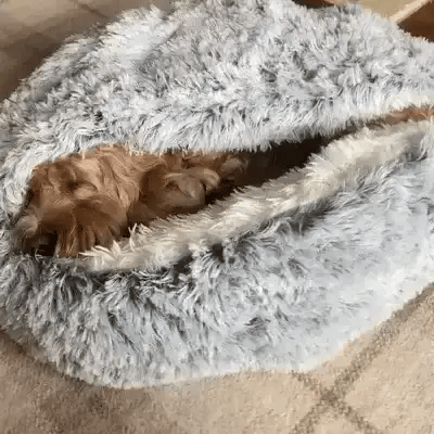Skanto | Cozy Cave Pet Bed | Calming and Comfortable Dog Bed for Deep Relaxation