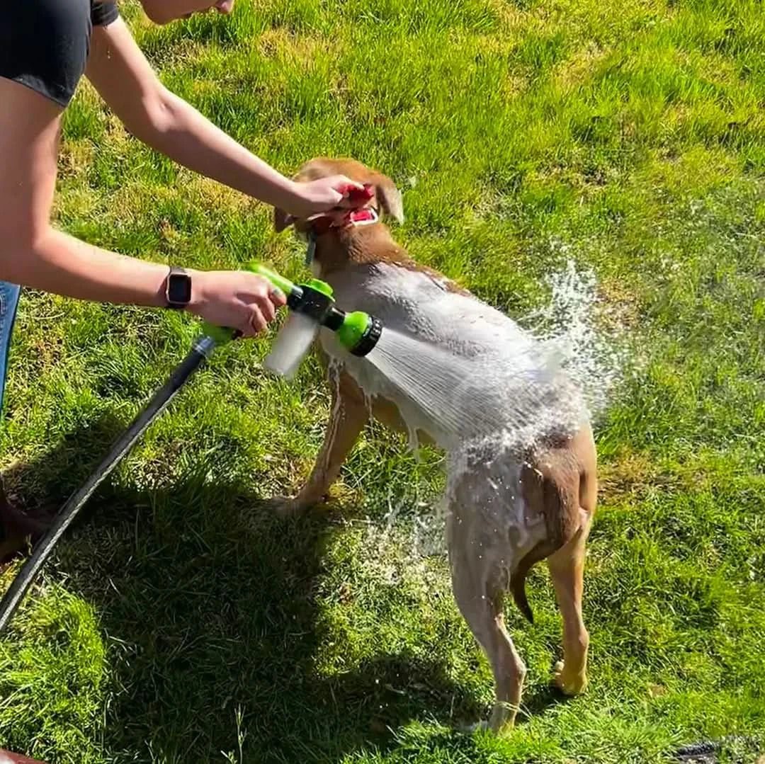 BowLift | Pet Bath Spray with All-Around Spray Function