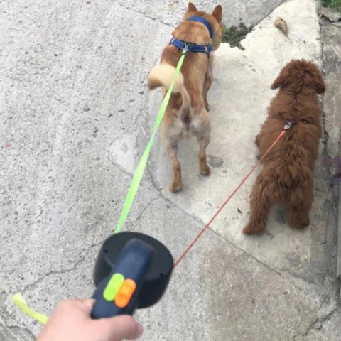Skanto | TangleFree Dual Dog Leash with LED Light & 360° Swivel