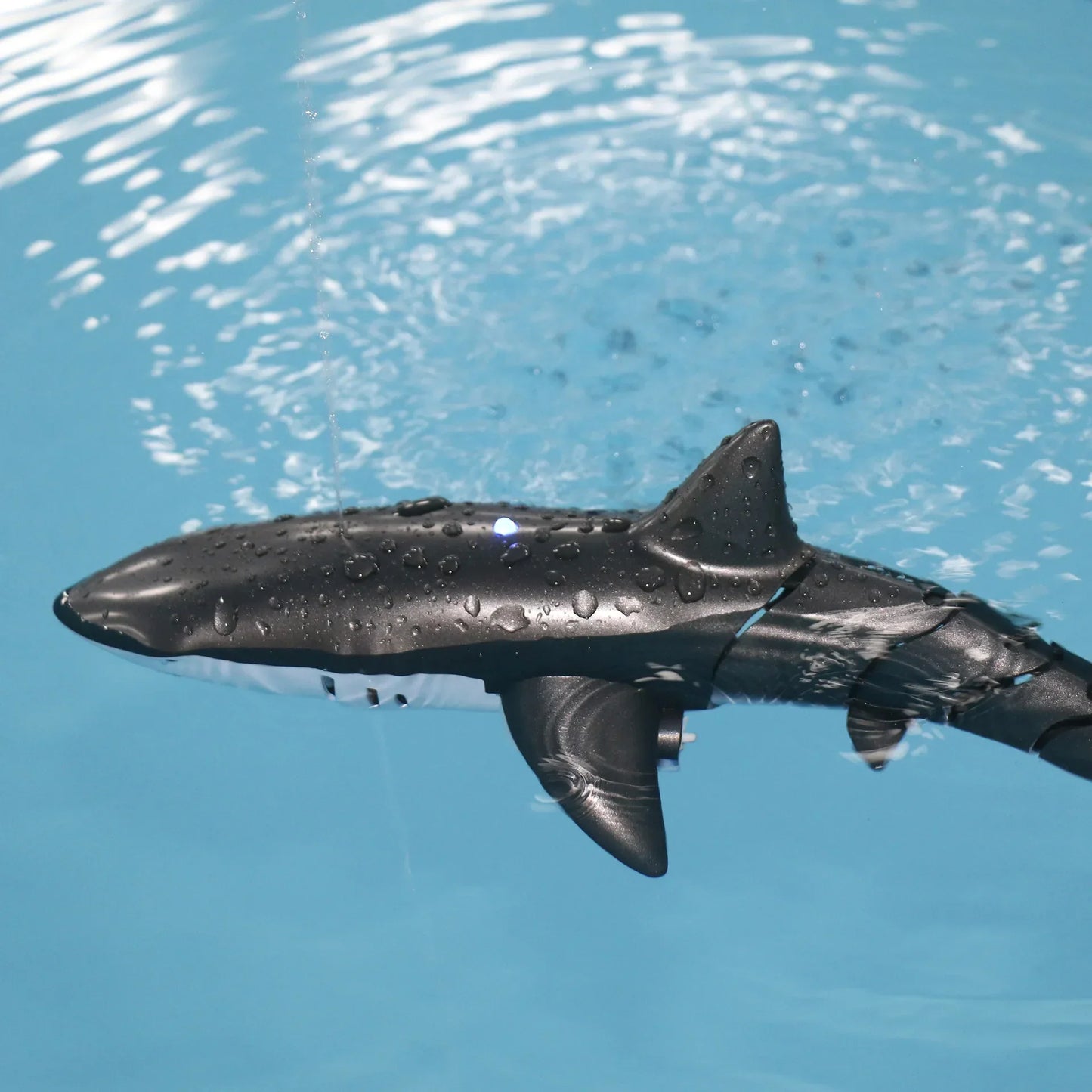 BowLift | Remote Control Shark Adventure