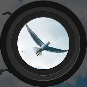 Skanto | Long Range Night Vision Binoculars