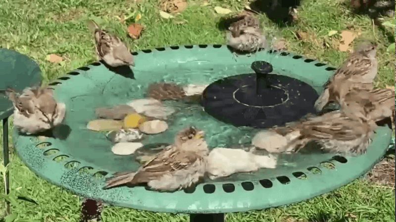TranquilFlow – Calming Garden Fountain with Sunlight Bowlift
