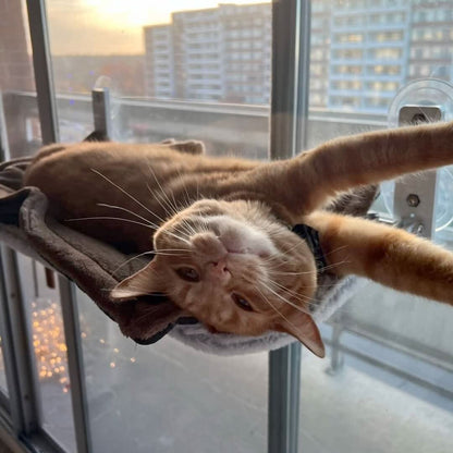 BowLift | PAWPERCH – Foldable Window Hammock for Cats with View & Comfort