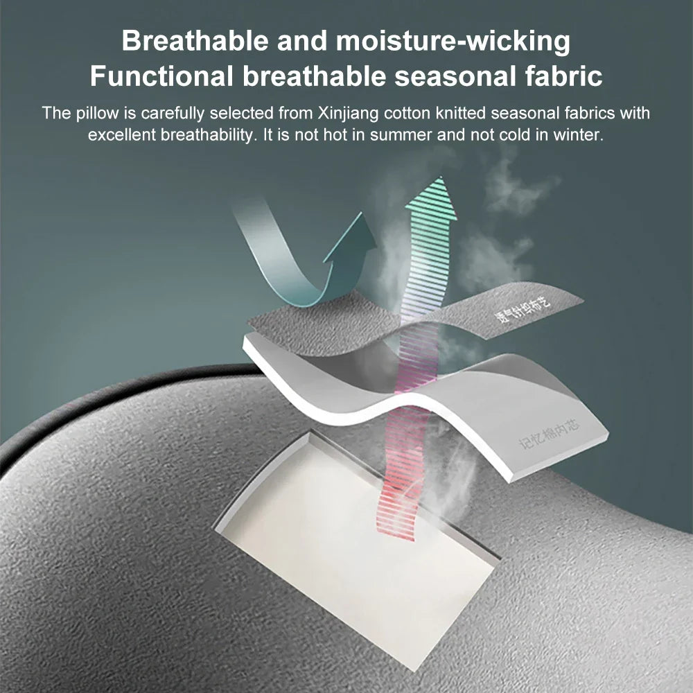 Skanto | DreamSupport Cervical and Lumbar Car Pillow
