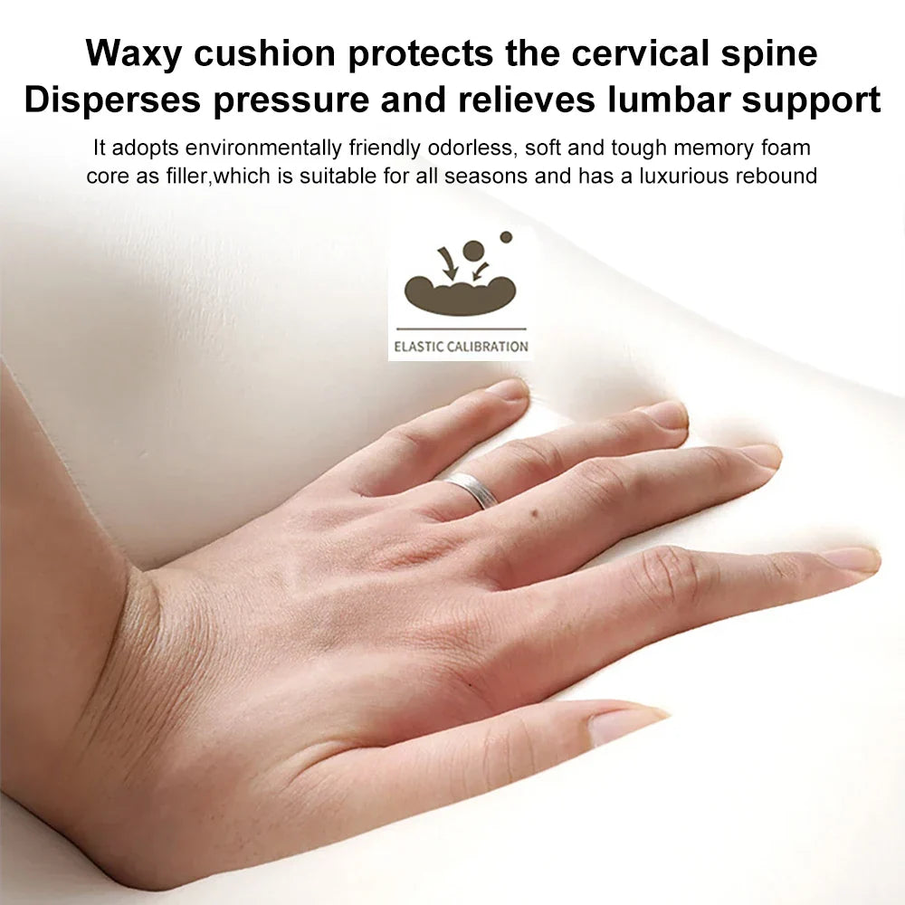 Skanto | DreamSupport Cervical and Lumbar Car Pillow