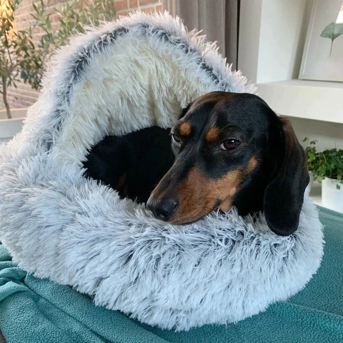 Skanto | Cozy Cave Pet Bed | Calming and Comfortable Dog Bed for Deep Relaxation