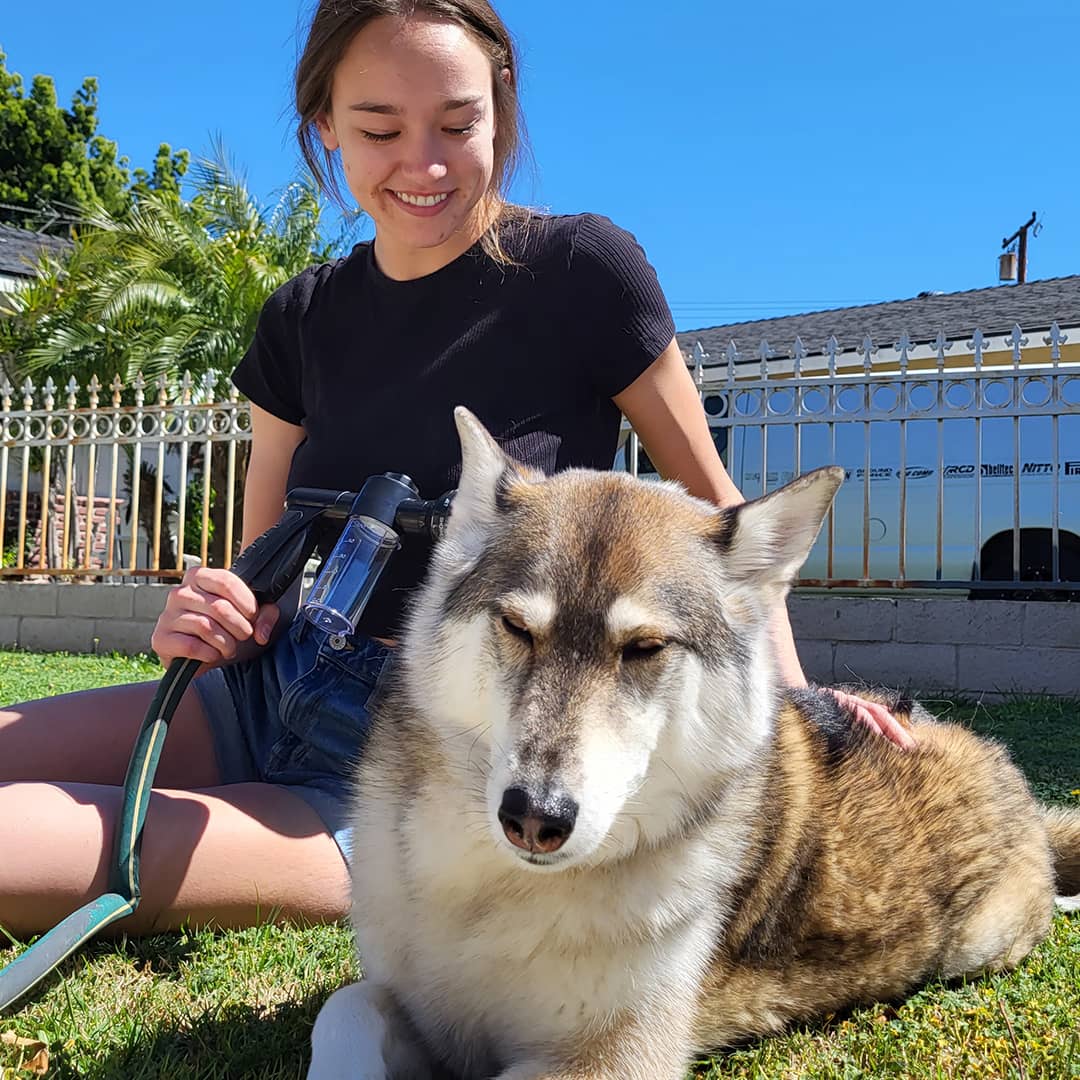 Skanto | Dog Shower Sprayer - WashBuddy