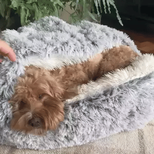 Skanto | Cozy Cave Pet Bed | Calming and Comfortable Dog Bed for Deep Relaxation