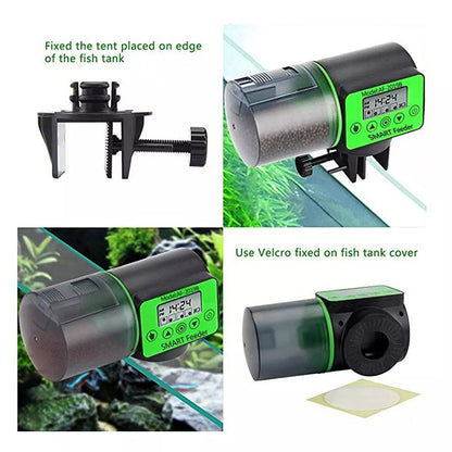 BowLift | Smart Automatic Fish Feeder
