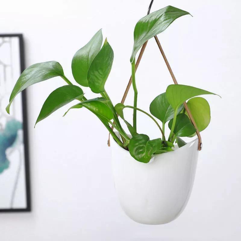 Ceramic Flower Pots Bag Shape | Elegant Plant Stands | Home & Garden Decor