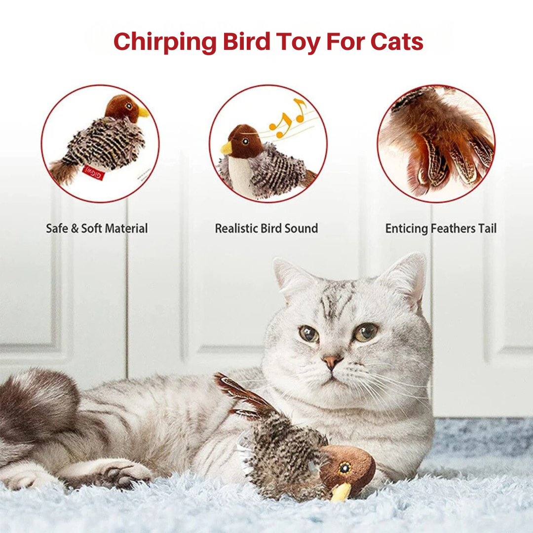 Singing Bird Toy for Cats Norvo