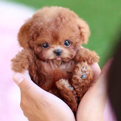 Skanto | Nicoo Robot Puppy Interactive Toy Realistic Lifelike Dog