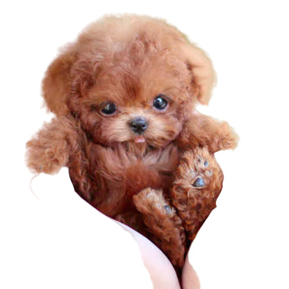 Skanto | Interactive Realistic Plus Puppy with Movement Features