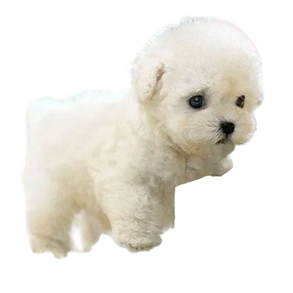 Skanto | Interactive Realistic Plus Puppy with Movement Features