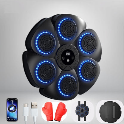 Skanto | Interactive Smart Boxing Machine - PunchTech