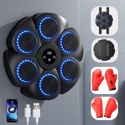 Skanto | Interactive Smart Boxing Machine - PunchTech