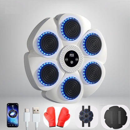 Skanto | Interactive Smart Boxing Machine - PunchTech