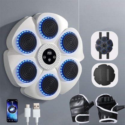 Skanto | Interactive Smart Boxing Machine - PunchTech
