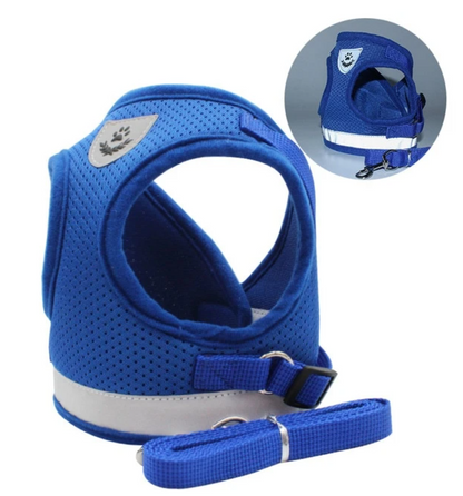 Skanto | Adventure Set - Safe Harness for Adventurous Cats