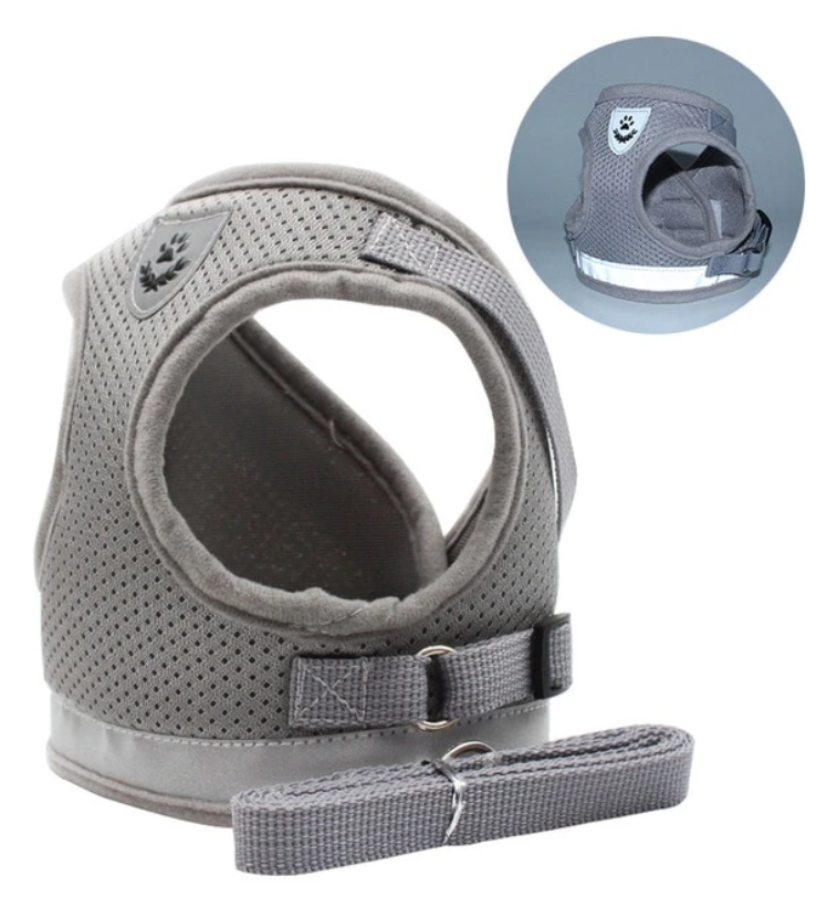 Skanto | Adventure Set - Safe Harness for Adventurous Cats
