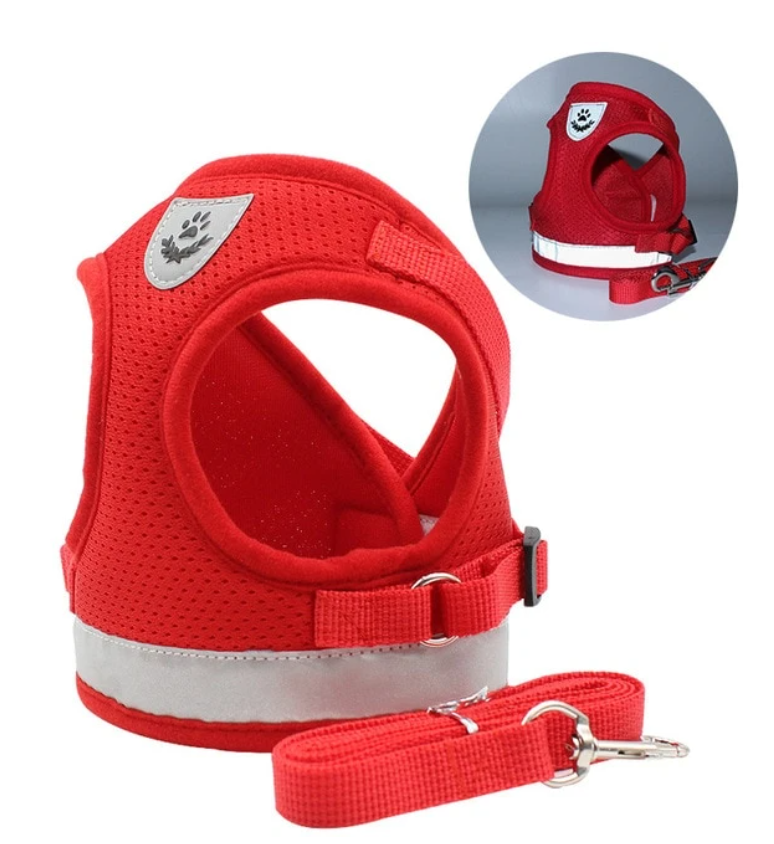 Skanto | Adventure Set - Safe Harness for Adventurous Cats