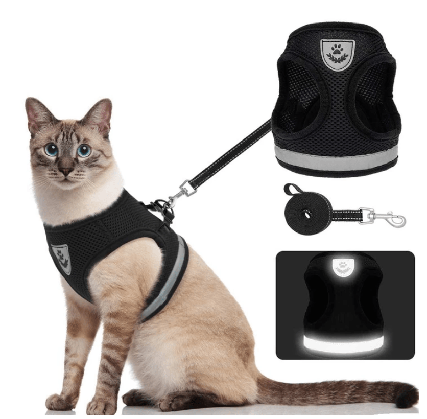 Skanto | EVENTYR SAFETY – Escape-proof cat harness with leash and reflective elements
