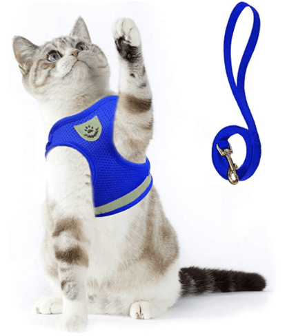 BowLift | ADVENTURE HARNESS – Escape-proof cat harness with leash & reflective elements