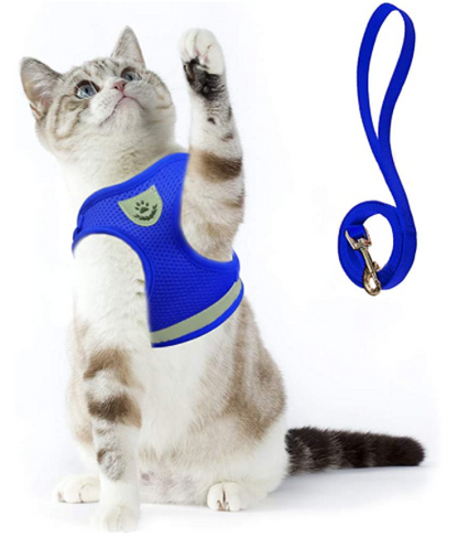 Skanto | Adventure Set - Safe Harness for Adventurous Cats