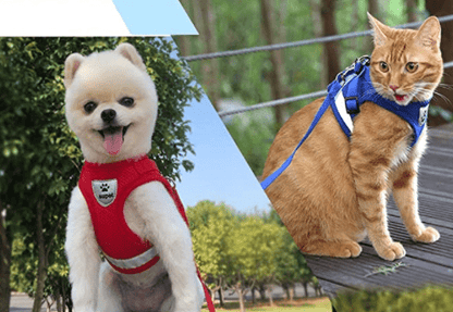 Skanto | EVENTYR SAFETY – Escape-proof cat harness with leash and reflective elements