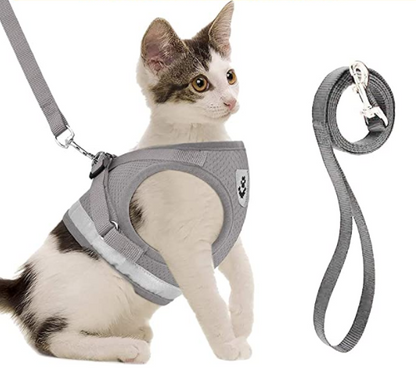 Skanto | Adventure Set - Safe Harness for Adventurous Cats